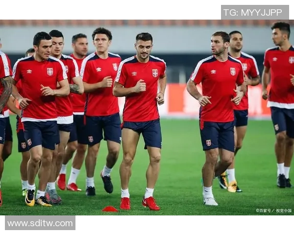 瑞士足球球星排名榜单解析与优秀球员实力对比